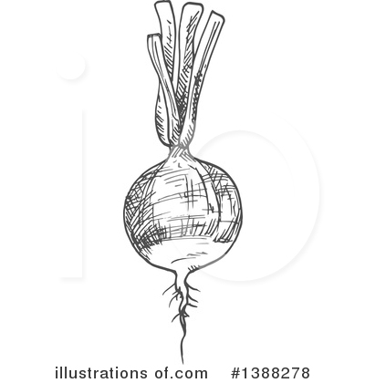 Royalty-Free (RF) Vegetable Clipart Illustration by Vector Tradition SM - Stock Sample #1388278