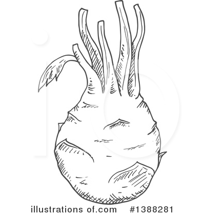 Kohlrabi Clipart #1388281 by Vector Tradition SM