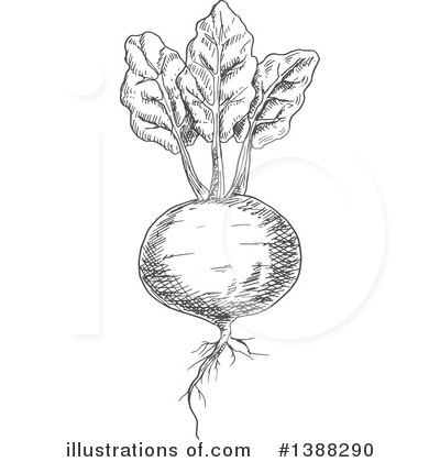 Royalty-Free (RF) Vegetable Clipart Illustration by Vector Tradition SM - Stock Sample #1388290