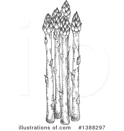 Asparagus Clipart #1388297 by Vector Tradition SM