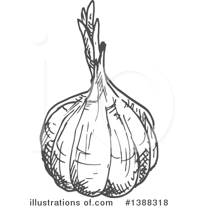 Royalty-Free (RF) Vegetable Clipart Illustration by Vector Tradition SM - Stock Sample #1388318