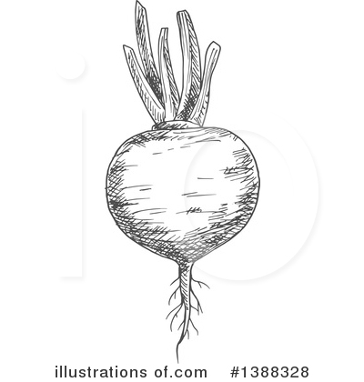 Royalty-Free (RF) Vegetable Clipart Illustration by Vector Tradition SM - Stock Sample #1388328