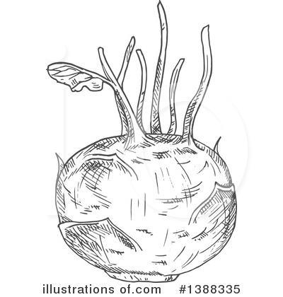 Kohlrabi Clipart #1388335 by Vector Tradition SM