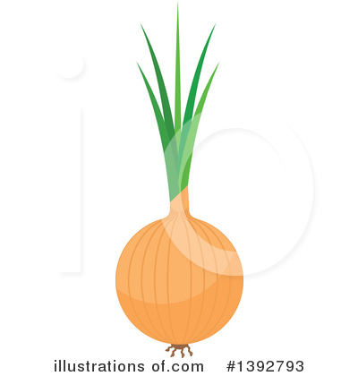 Yellow Onion Clipart #1392793 by Vector Tradition SM