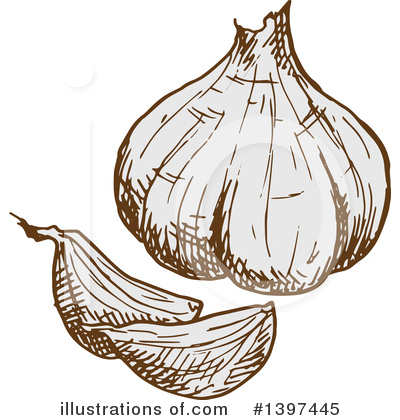 Garlic Clipart #1397445 by Vector Tradition SM