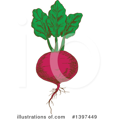 Beets Clipart #1397449 by Vector Tradition SM
