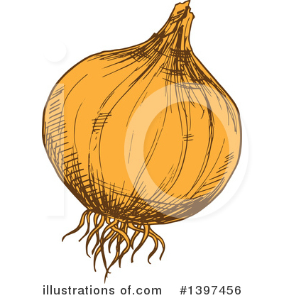 Yellow Onion Clipart #1397456 by Vector Tradition SM