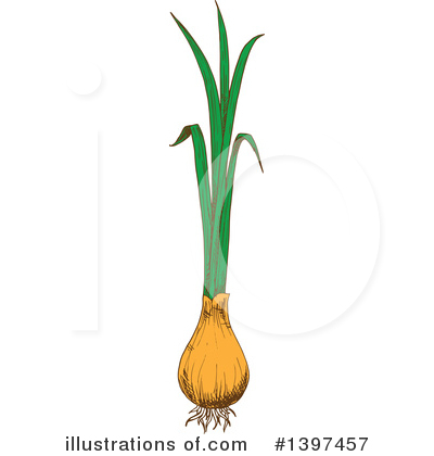 Green Onions Clipart #1397457 by Vector Tradition SM