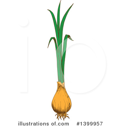 Green Onions Clipart #1399957 by Vector Tradition SM