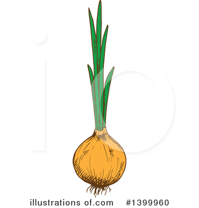 Yellow Onion Clipart #1399960 by Vector Tradition SM