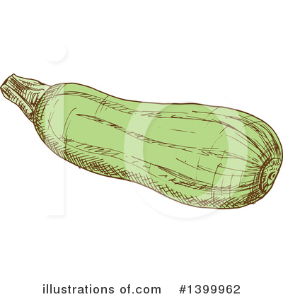Zucchini Clipart #1399962 by Vector Tradition SM
