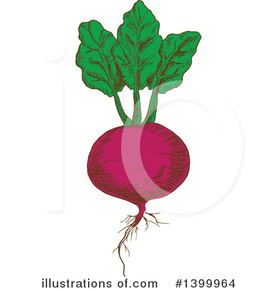 Royalty-Free (RF) Vegetable Clipart Illustration by Vector Tradition SM - Stock Sample #1399964