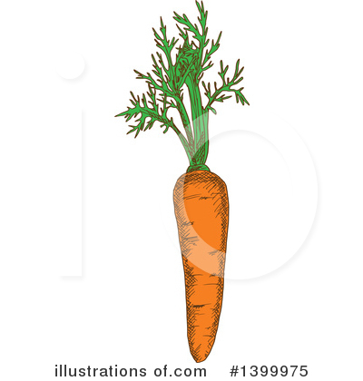 Carrot Clipart #1399975 by Vector Tradition SM