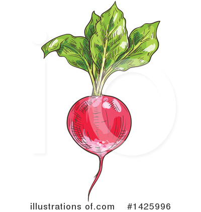 Royalty-Free (RF) Vegetable Clipart Illustration by Vector Tradition SM - Stock Sample #1425996