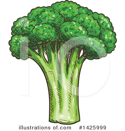 Broccoli Clipart #1425999 by Vector Tradition SM