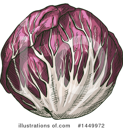 Cabbage Clipart #1449972 by Vector Tradition SM