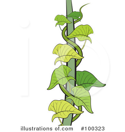 Royalty-Free (RF) Vine Clipart Illustration by Lal Perera - Stock Sample #100323