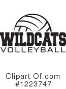 Volleyball Clipart #1223747 by Johnny Sajem