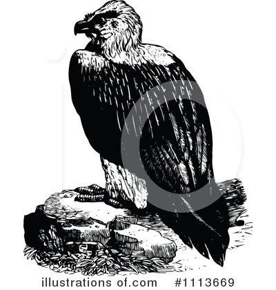 Royalty-Free (RF) Vulture Clipart Illustration by Prawny Vintage - Stock Sample #1113669