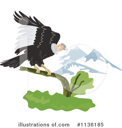Royalty-Free (RF) Vulture Clipart Illustration by patrimonio - Stock Sample #1136185