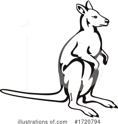 Royalty-Free (RF) Wallaby Clipart Illustration by patrimonio - Stock Sample #1720794