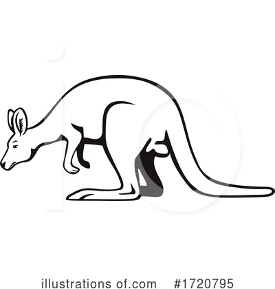 Royalty-Free (RF) Wallaby Clipart Illustration by patrimonio - Stock Sample #1720795