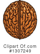 Walnut Clipart #1307249 by Vector Tradition SM