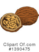 Walnut Clipart #1390475 by Vector Tradition SM