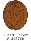 Walnut Clipart #1395766 by Vector Tradition SM