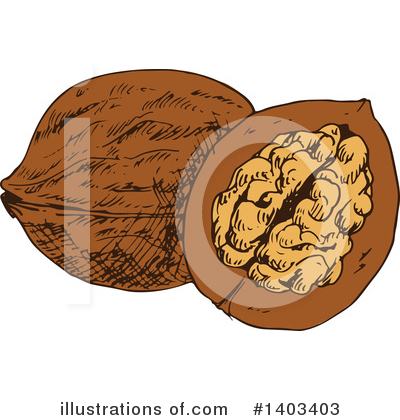 Walnut Clipart #1403403 by Vector Tradition SM