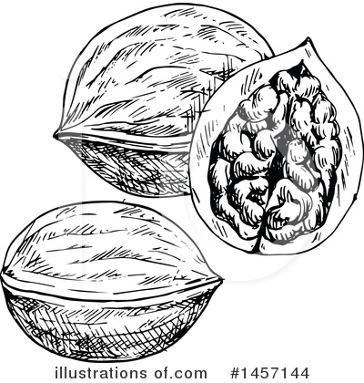 Royalty-Free (RF) Walnut Clipart Illustration by Vector Tradition SM - Stock Sample #1457144
