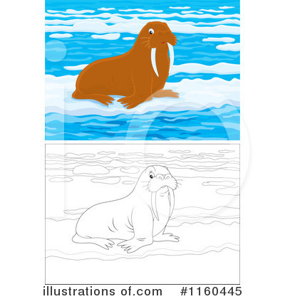 Walrus Clipart #1160445 by Alex Bannykh