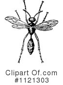 Wasp Clipart #1121303 by Prawny Vintage