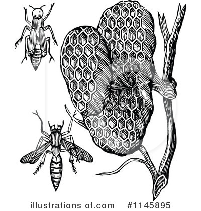 Insects Clipart #1145895 by Prawny Vintage