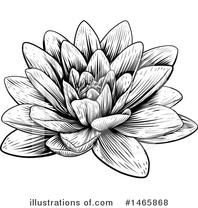 Royalty-Free (RF) Water Lily Clipart Illustration by AtStockIllustration - Stock Sample #1465868