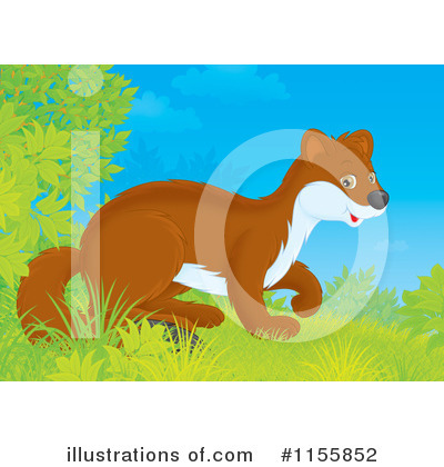 Royalty-Free (RF) Weasel Clipart Illustration by Alex Bannykh - Stock Sample #1155852