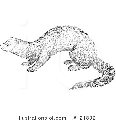 Royalty-Free (RF) Weasel Clipart Illustration by Picsburg - Stock Sample #1218921