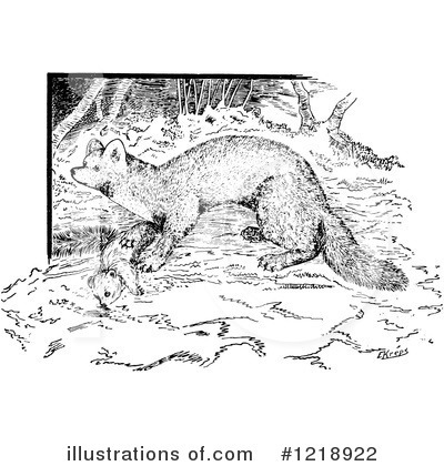 Weasel Clipart #1218922 by Picsburg