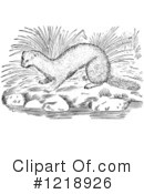 Weasel Clipart #1218926 by Picsburg