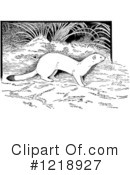 Weasel Clipart #1218927 by Picsburg
