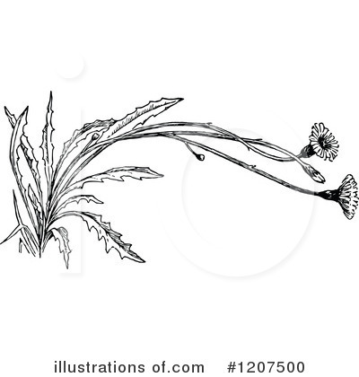 Royalty-Free (RF) Weed Clipart Illustration by Prawny Vintage - Stock Sample #1207500