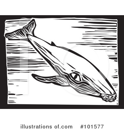 Royalty-Free (RF) Whale Clipart Illustration by xunantunich - Stock Sample #101577