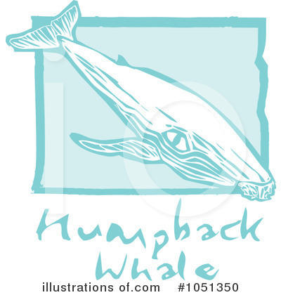 Humpback Whale Clipart #1051350 by xunantunich