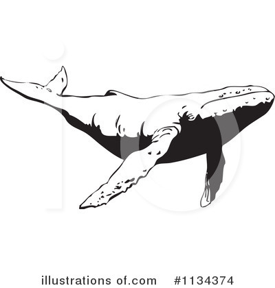 Humpback Whale Clipart #1134374 by YUHAIZAN YUNUS