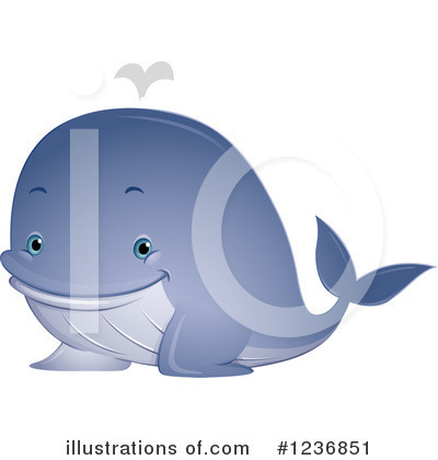 Whale Clipart #1236851 by BNP Design Studio