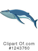 Whale Clipart #1243760 by Vector Tradition SM