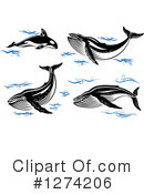 Whale Clipart #1274206 by Vector Tradition SM
