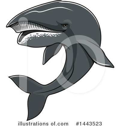 Humpback Whale Clipart #1443523 by Vector Tradition SM