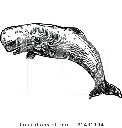 Sperm Whale Clipart #1461194 by Vector Tradition SM