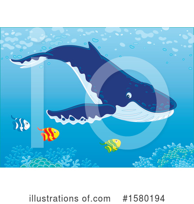 Humpback Whale Clipart #1580194 by Alex Bannykh
